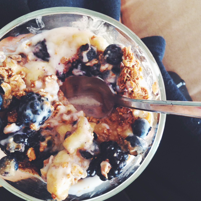 UpCloseBlueberry copy