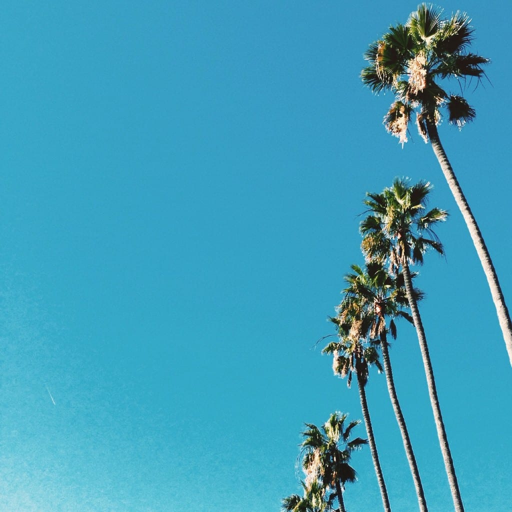 Processed with VSCOcam with c1 preset